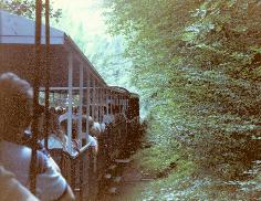 Le Petit Train forestier d' Abreschviller, photo perso, libre de droits
