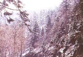 Les Vosges sous la neige, Photo perso, libre